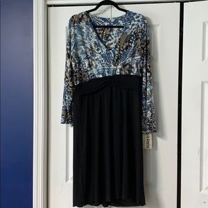 S.H.E. Dress, Size 22
